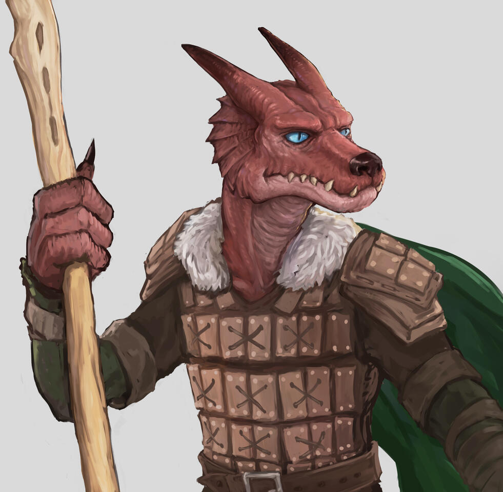 D&D commission D&D commission